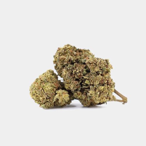 Magic Farmer Mr. Nice | 30% 10-OH-HHC virág | 1g