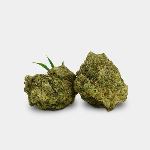 Magic Farmer THCJD Flori 10% - Champagne Haze - 1g 