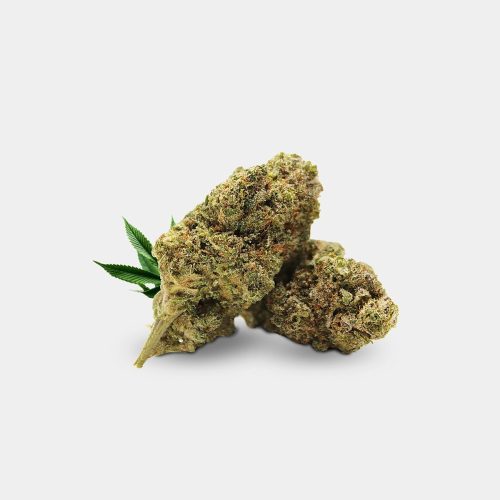 Magic Farmer THCJD Cvjetovi 10% - Plutonium Haze - 1g 